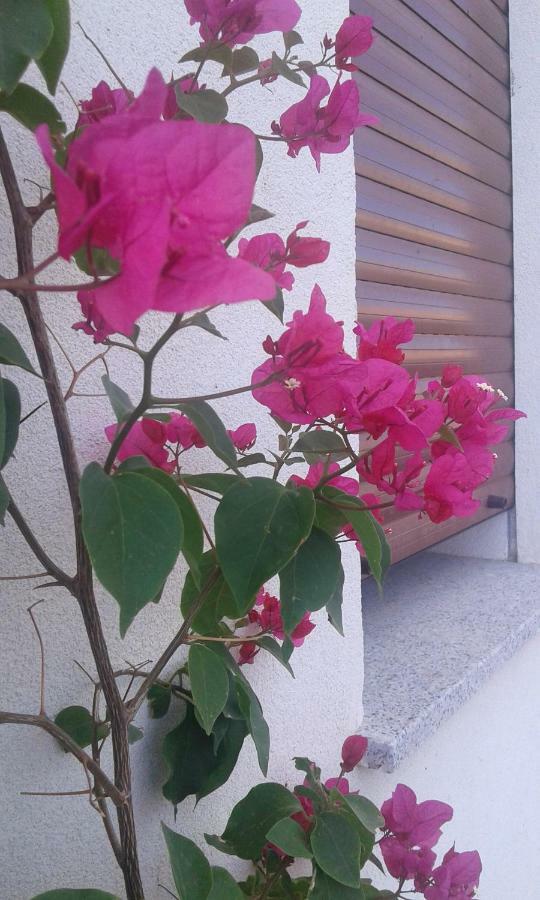 Alma Bed & Breakfast Sennariolo Exterior foto